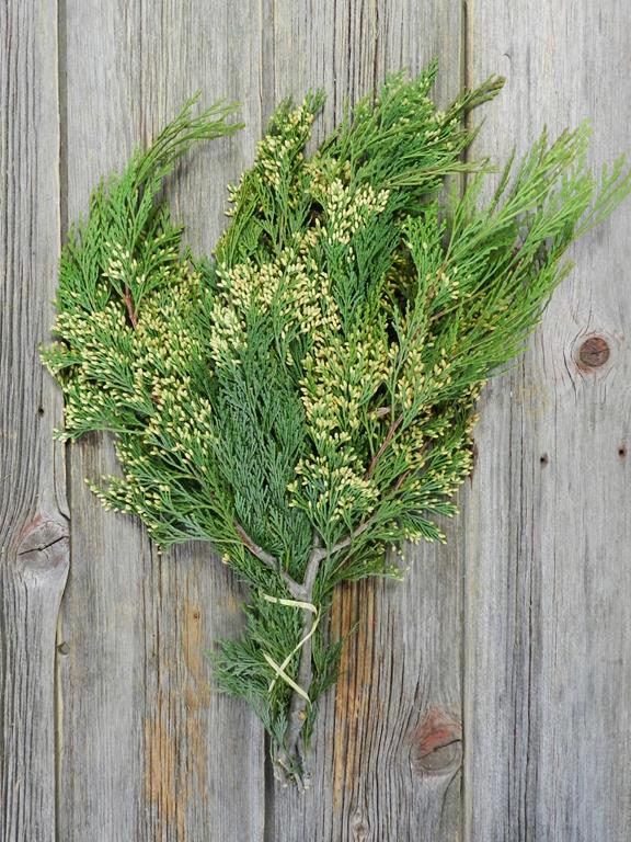 INCENSE CEDAR 20# CHRISTMAS GREENS